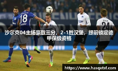 沙尔克04主场豪取三分，2-1胜汉堡，提前锁定德甲保级资格